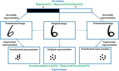 Accurate Reconstruction of Image Stimuli From Human Functional Magnetic Resonance Imaging Based on the Decoding Model With Capsule Network Architecture